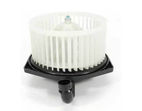 Blower Motor
