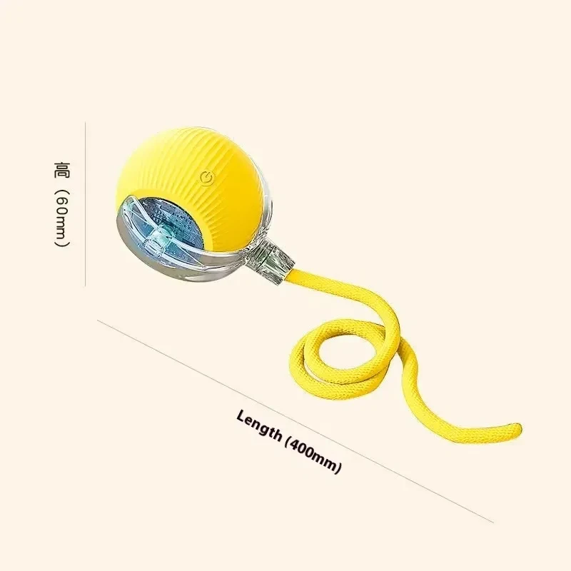 Interactive Pet Ball