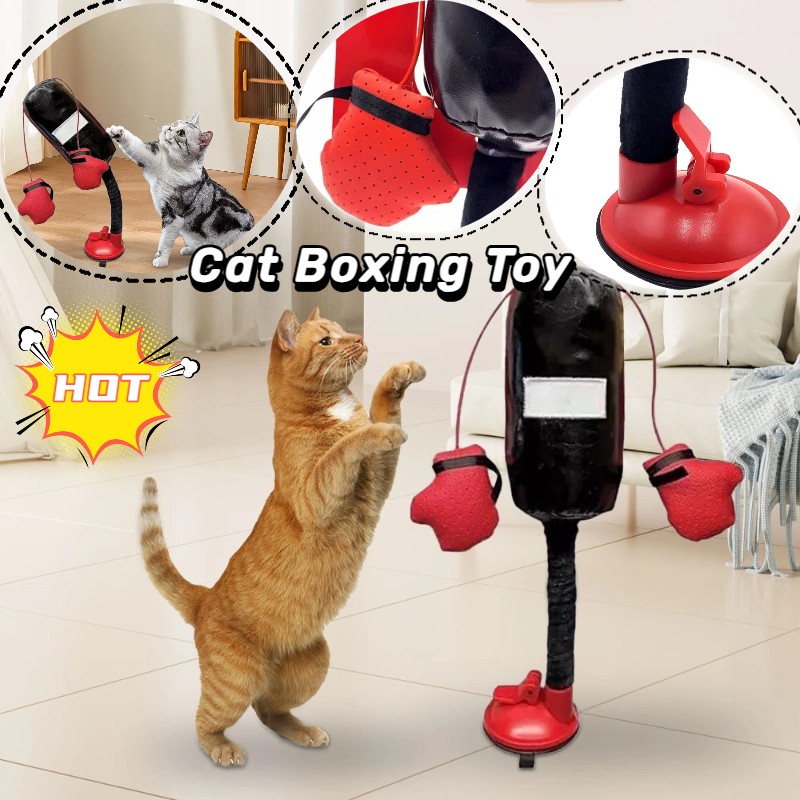 Cat Punching Bag Toy