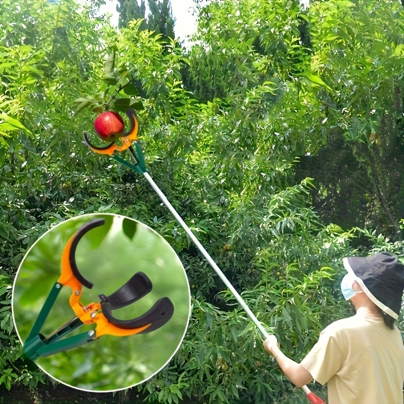 Tall Fruit Picker with Basket and Support Frame Universal Type