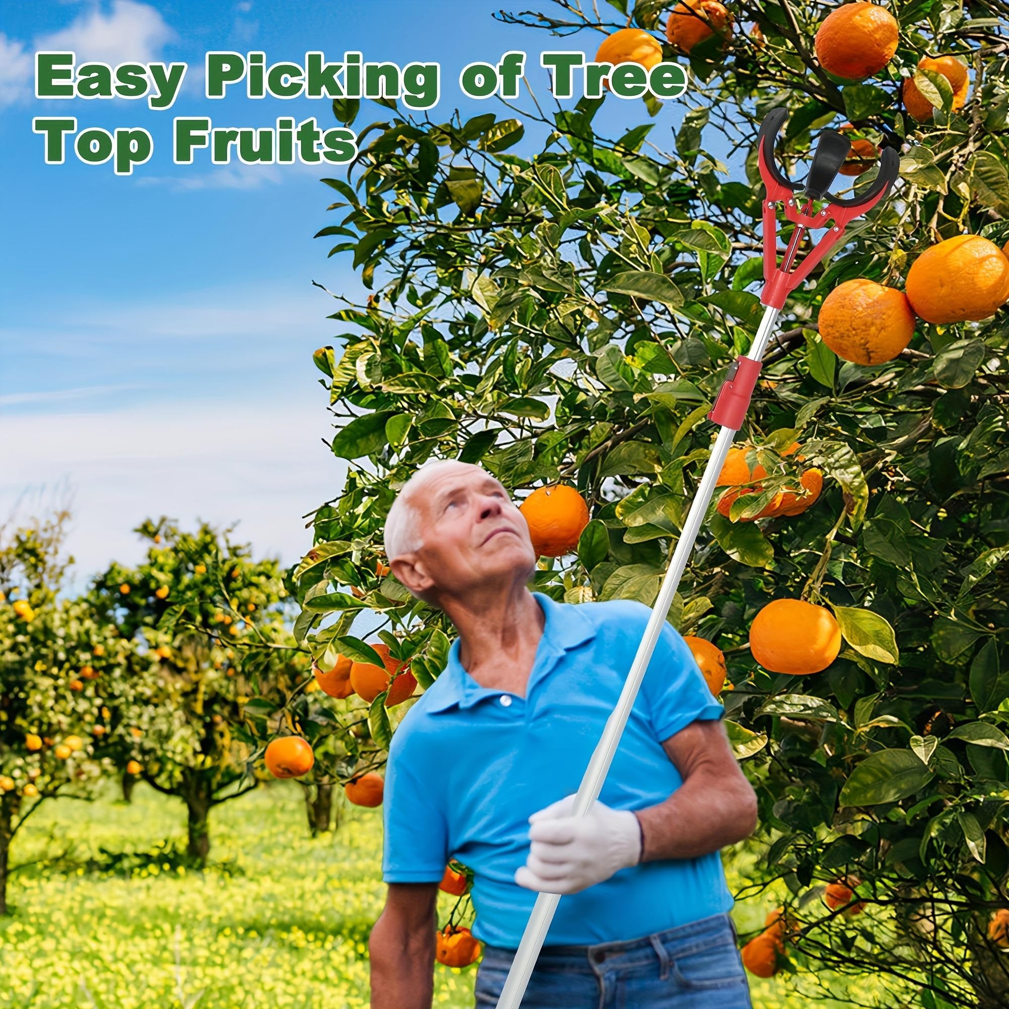 Tall Fruit Picker with Basket and Support Frame Universal Type