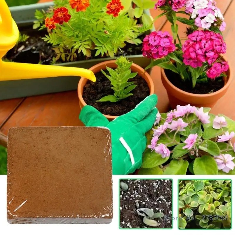 Seed Meal Fertilizer for Plants