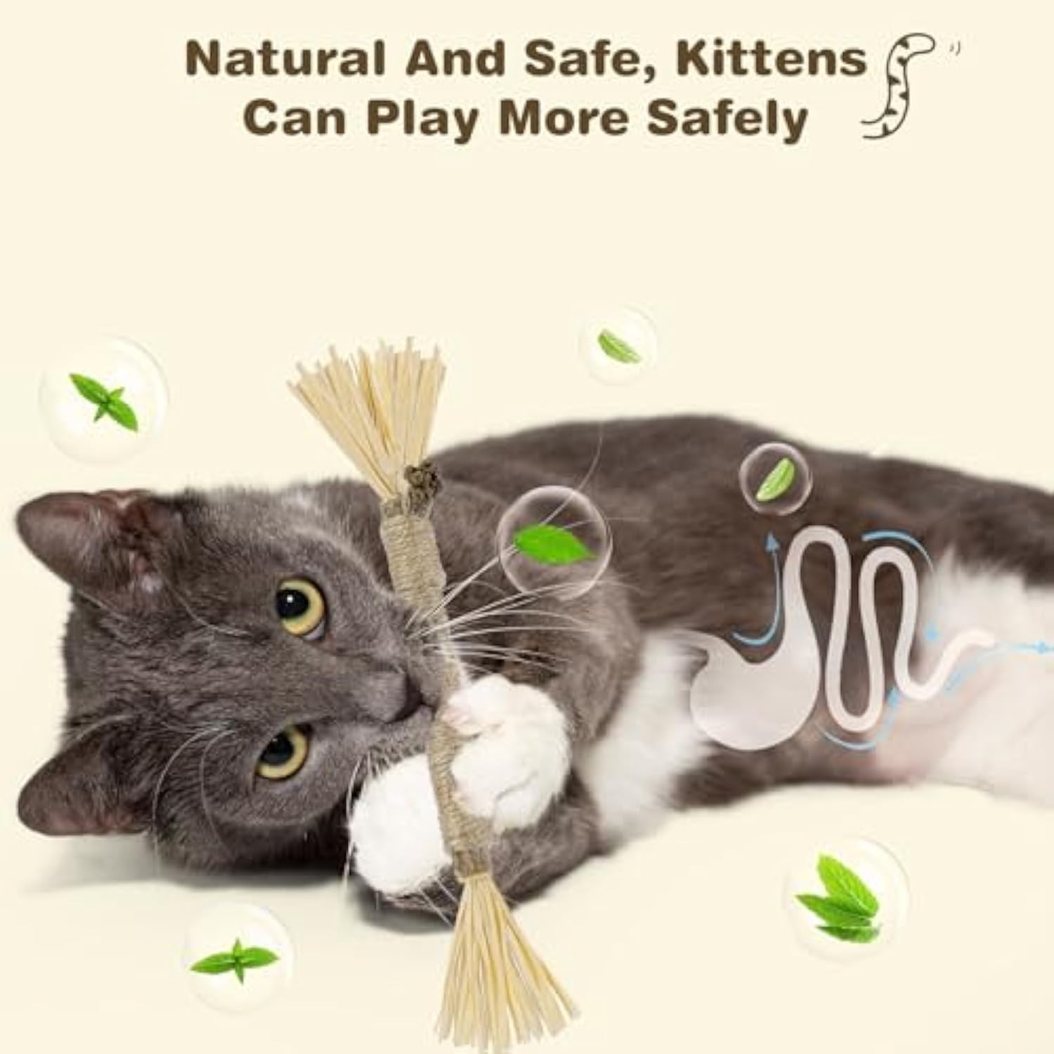 Cat Silvervine Dental Sticks