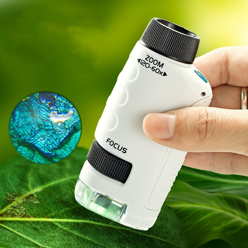 Pocket Microscope