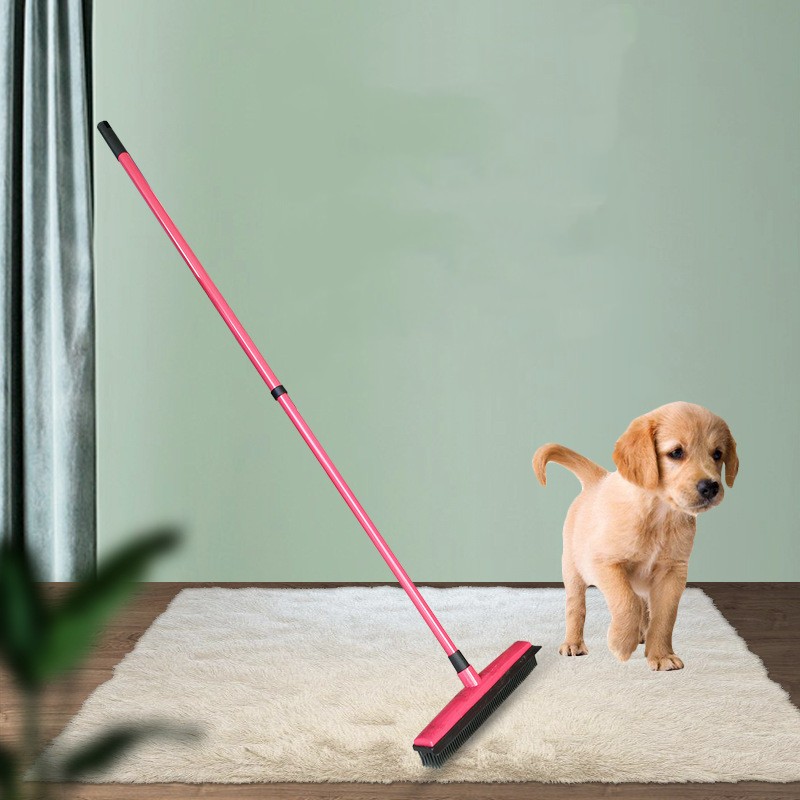 Pet Hair Removal