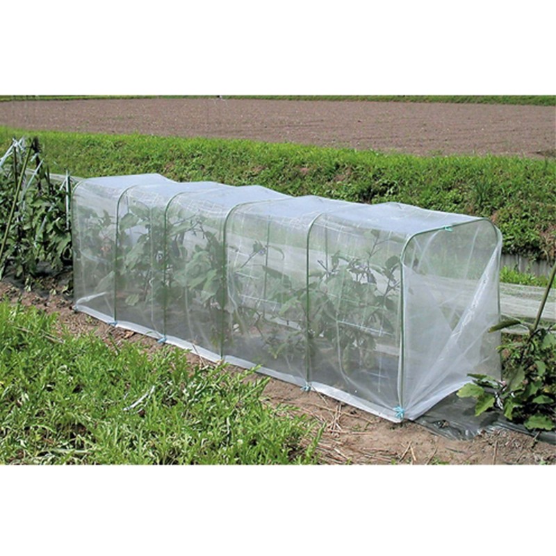 Insect Net