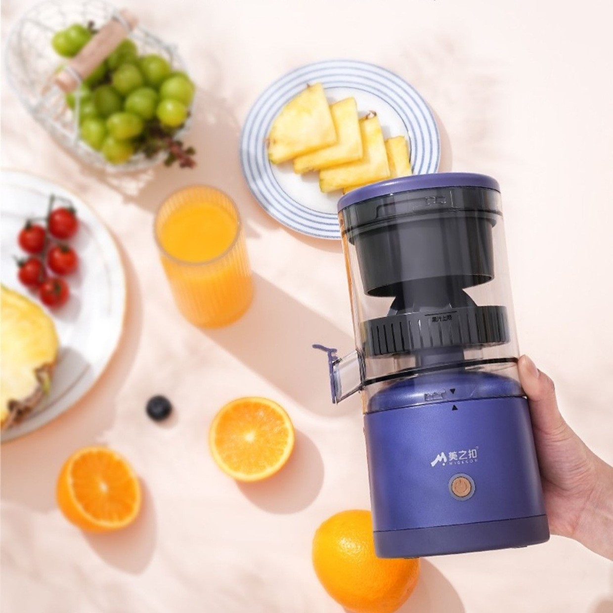 Juicer Mixer Extractors