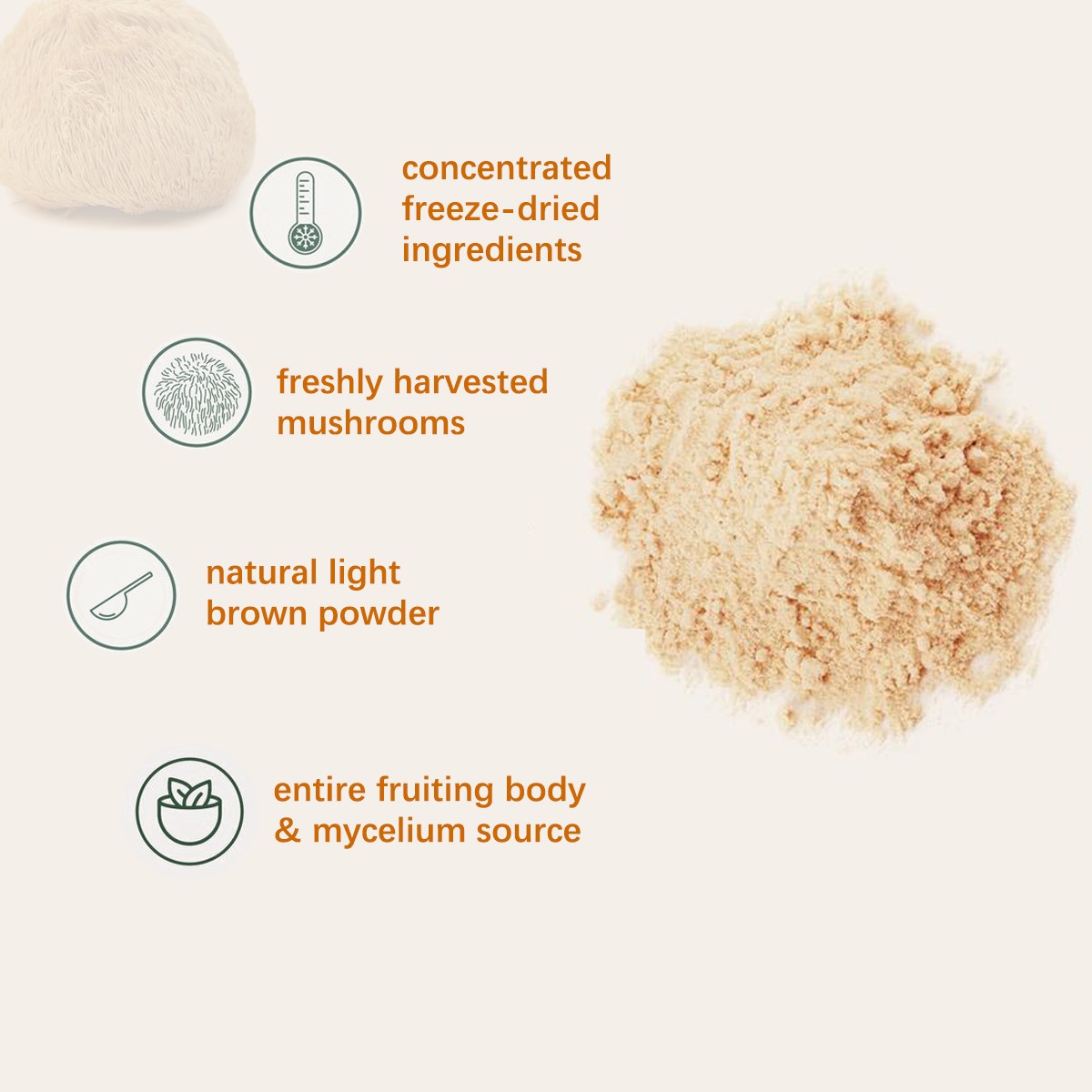 Lions Mane Powder Organic Brain & Nerve Health Support