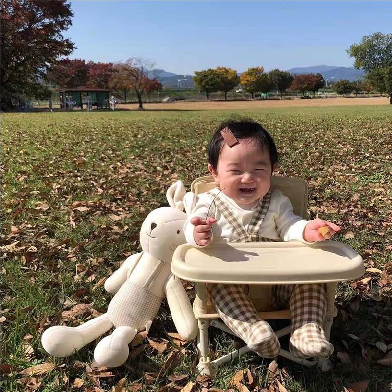 Adventurous Toddler Camping Chair