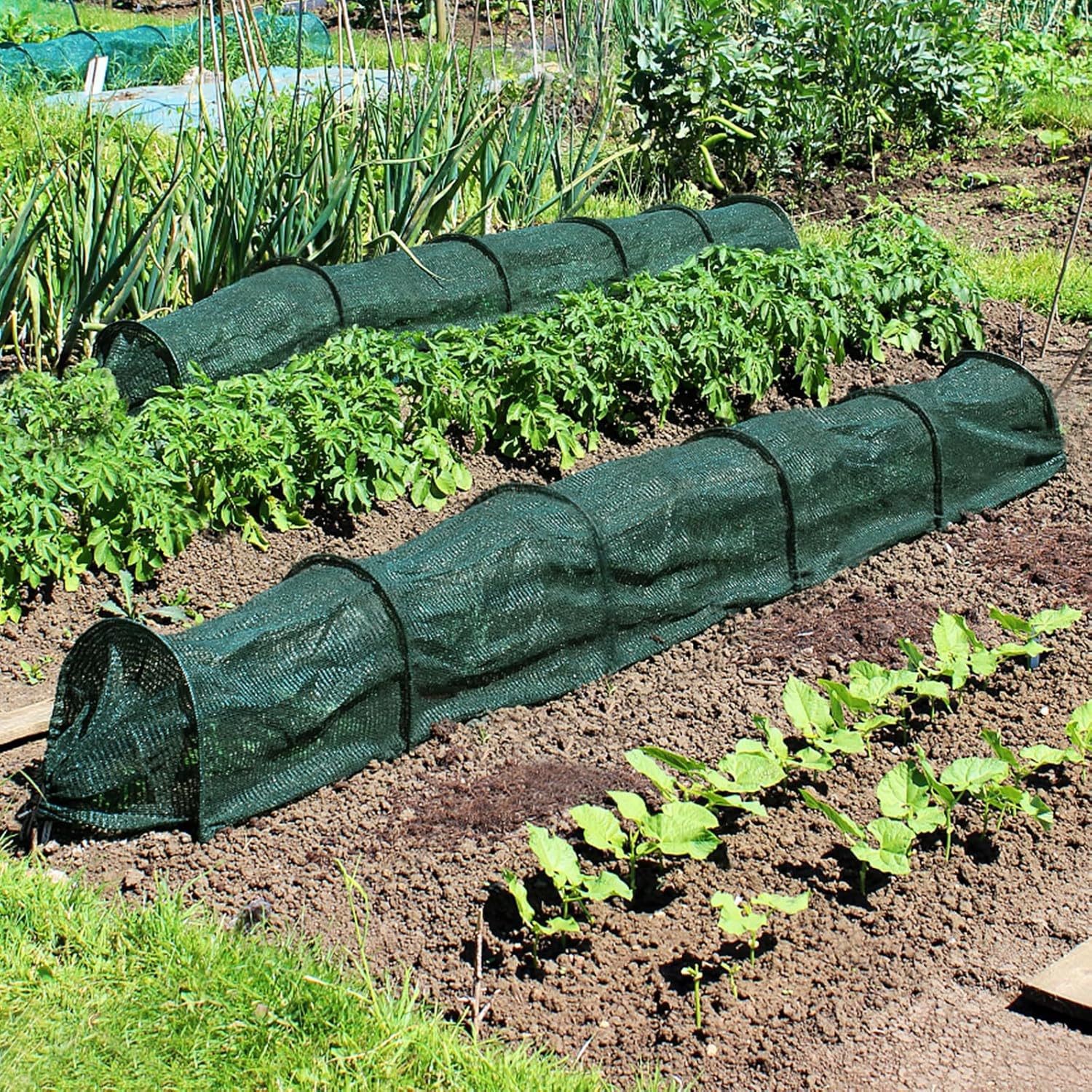 Bug Netting