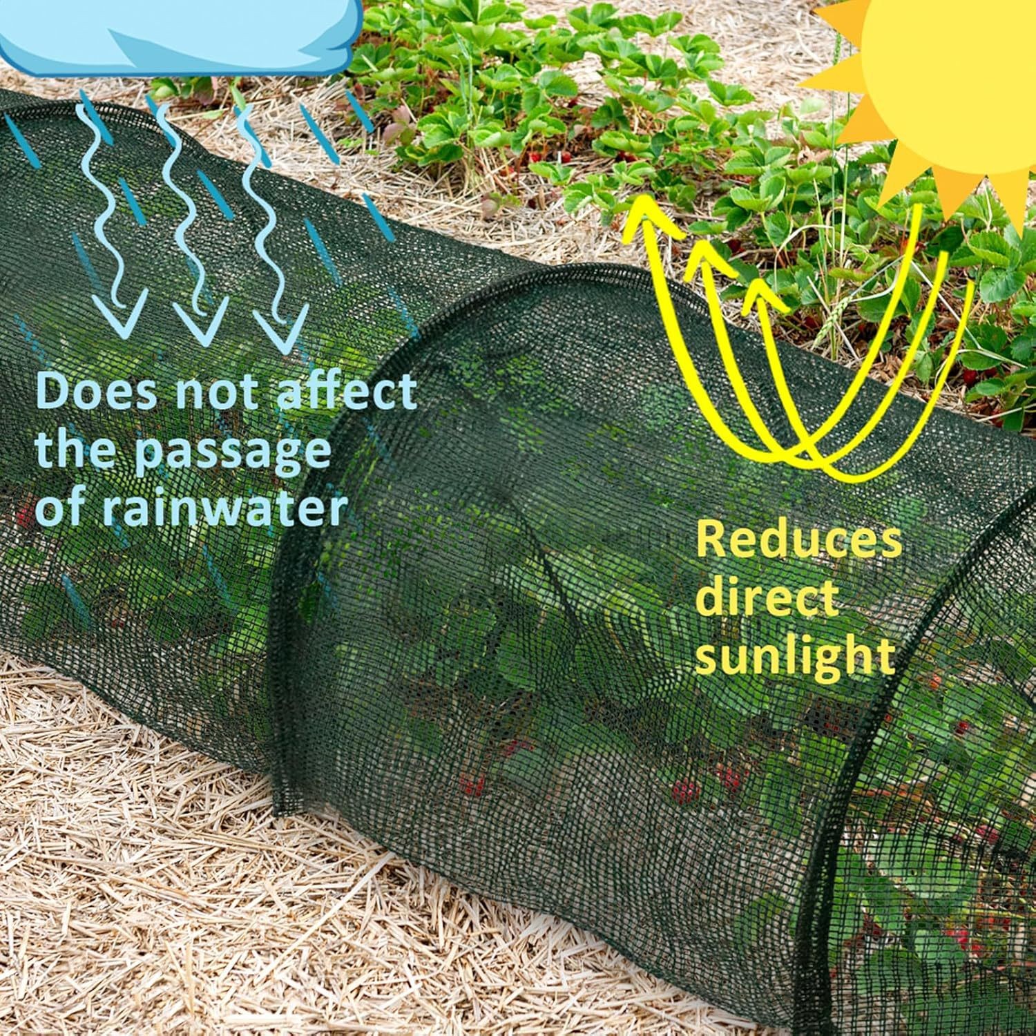 Bug Netting
