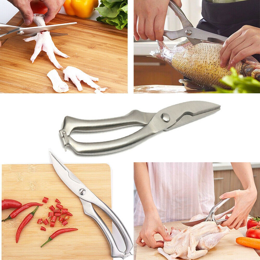 Poultry Chicken Bone