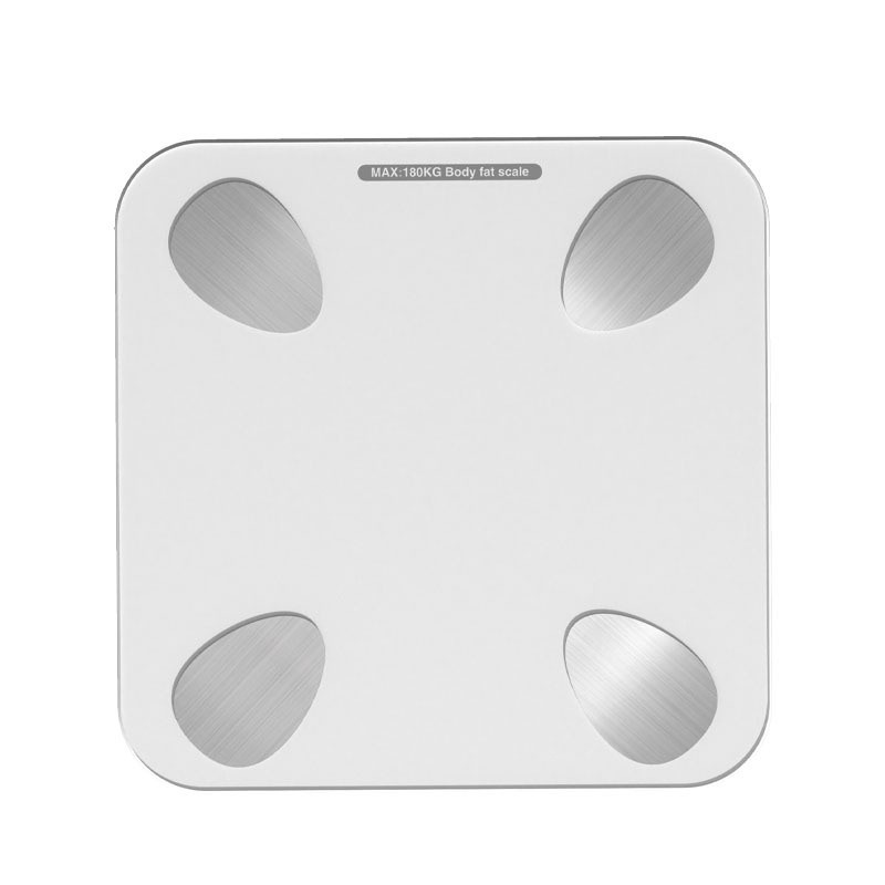 Rechargeable Human Scale
