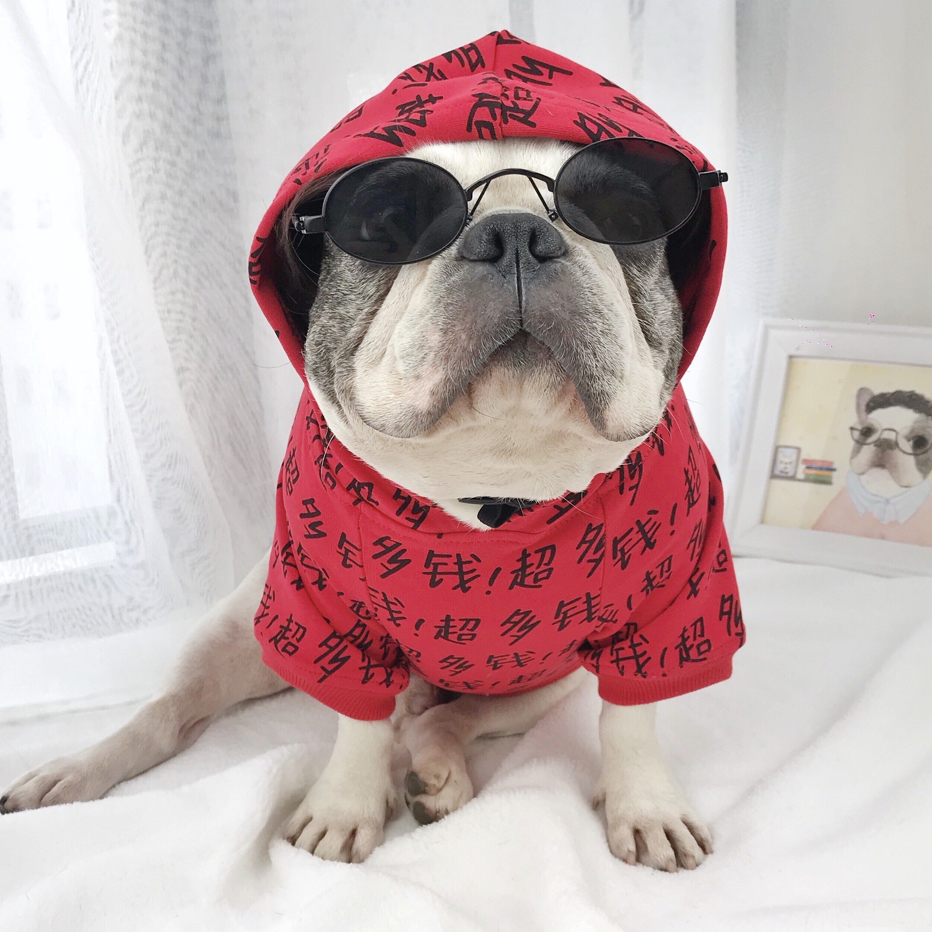 Dog Glasses Toy