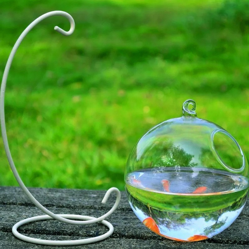 Glass Vase Fish Tank Nz