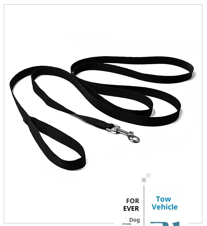 Dog Long Lead