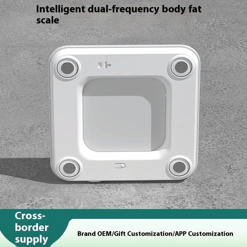 Electronic Scales Battery