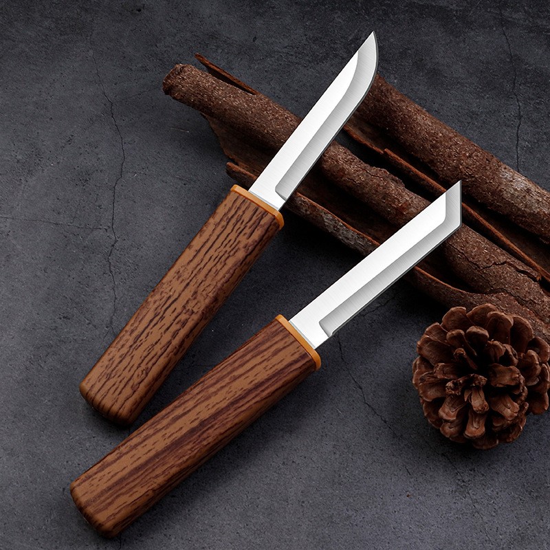 Stainless Steel Fruit Bone Remover