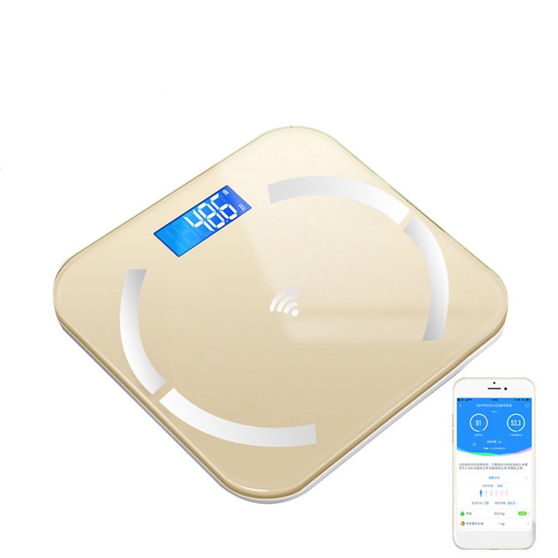 Weight Health Scale
