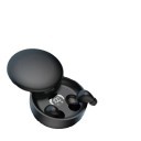 Comfort Earbuds