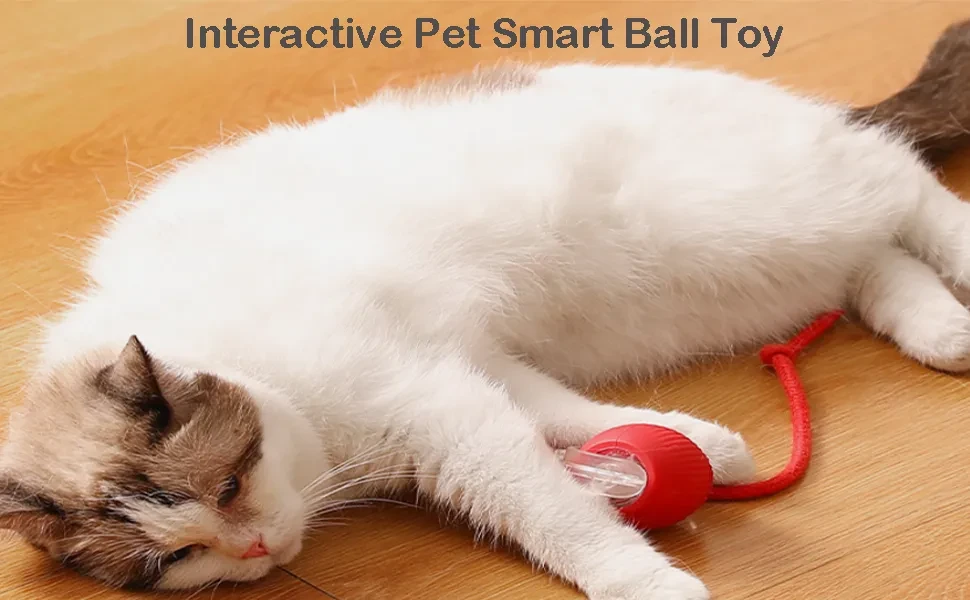 RolliePet smart chase pet toy ball