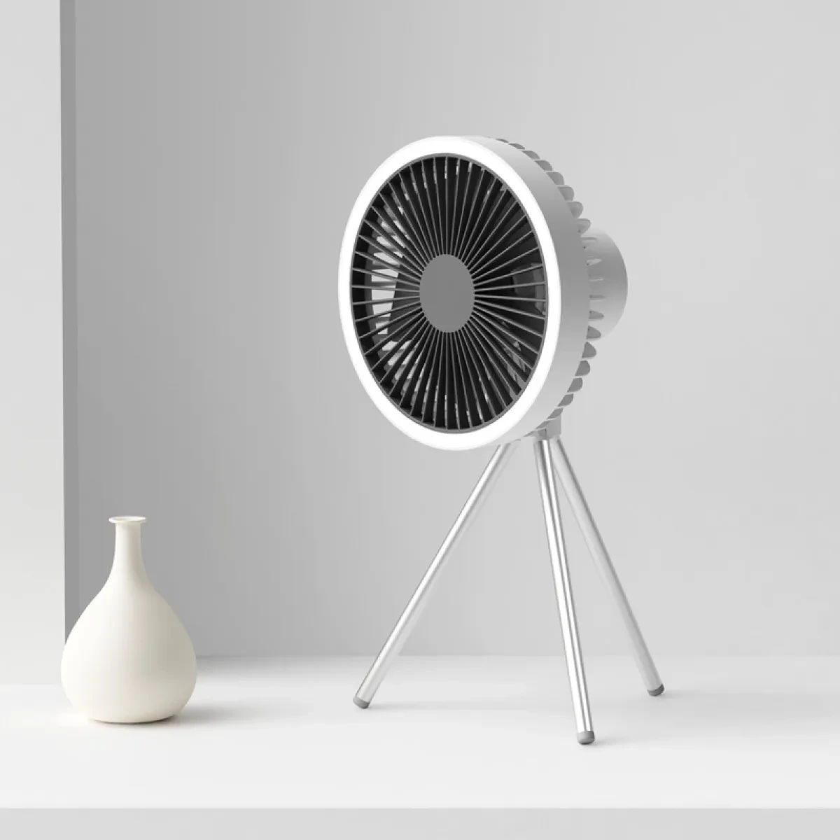 Multi-Function Camping Fan