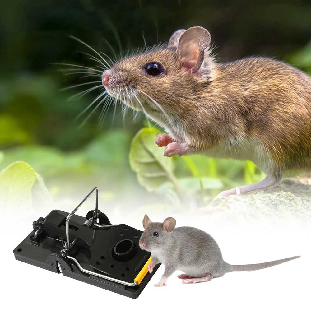 Reusable Rat Catch Trap Black Plastic Mouse Snap Trap