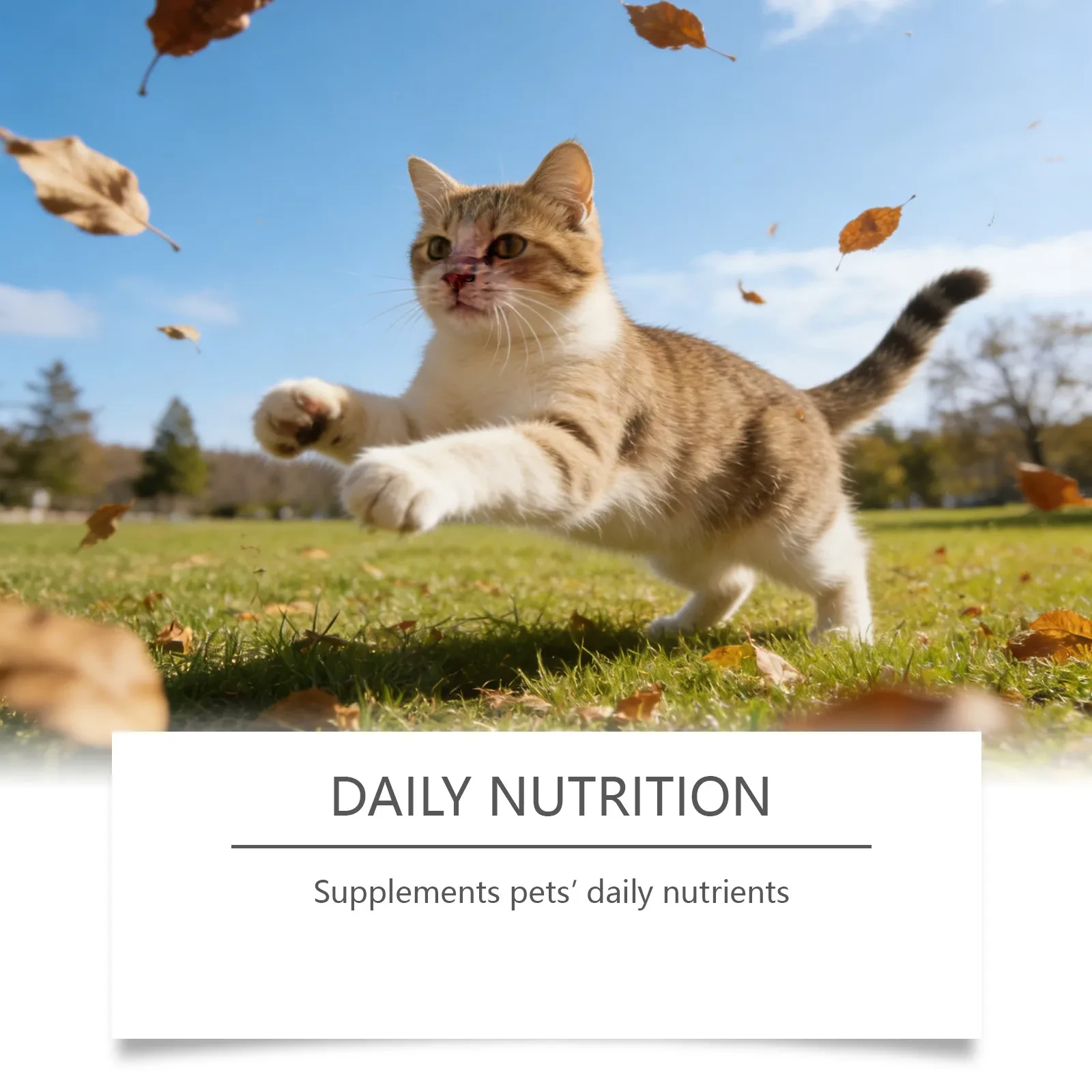 Cat Taurine Supplement