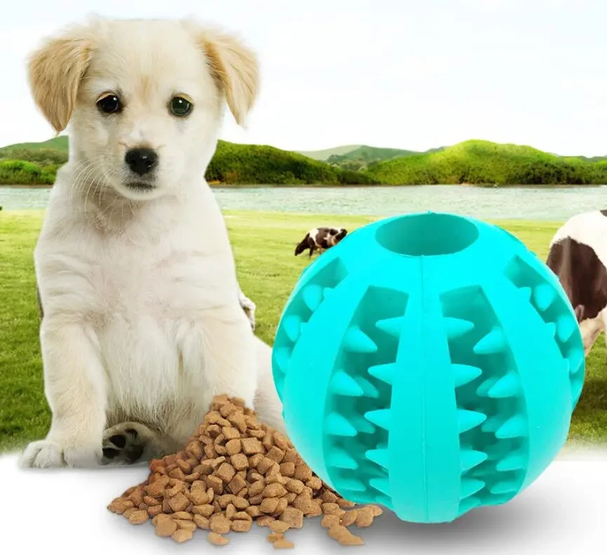 Slow Feeder Ball Toy for Dogs