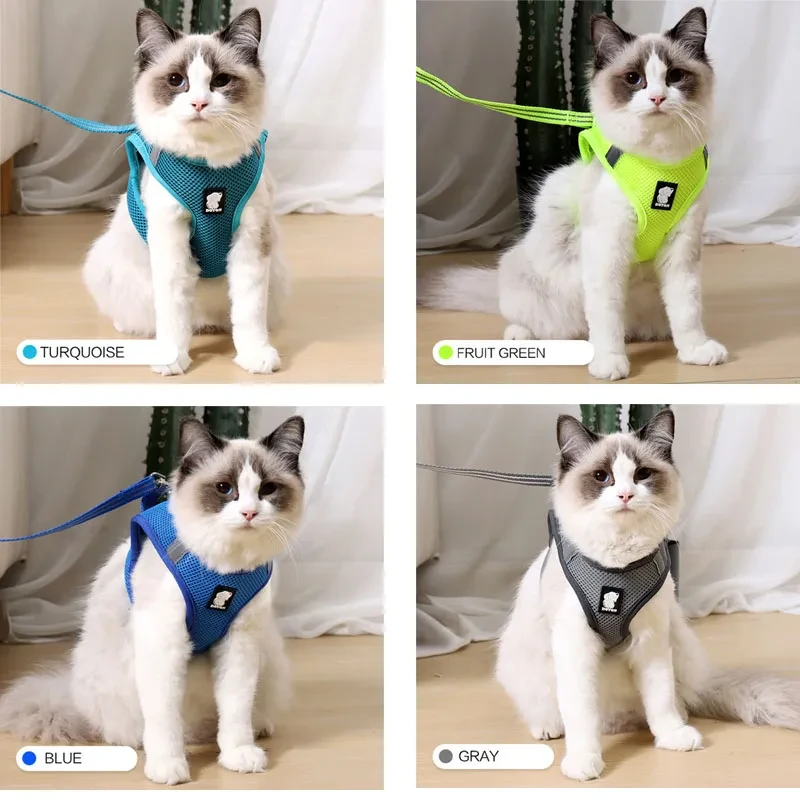 Anti Strike Cat Harness