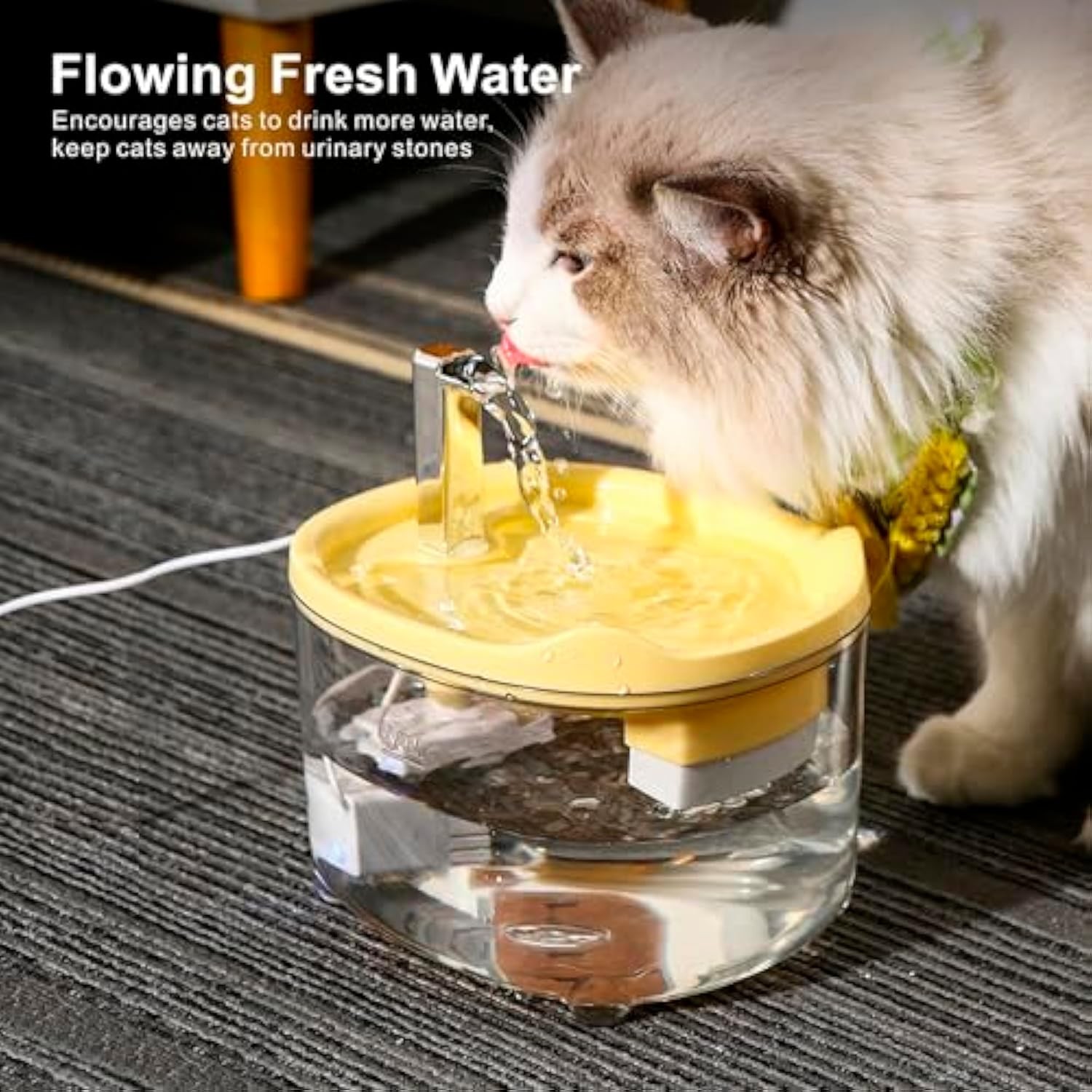 Triple-Filter Pet Water Fountain