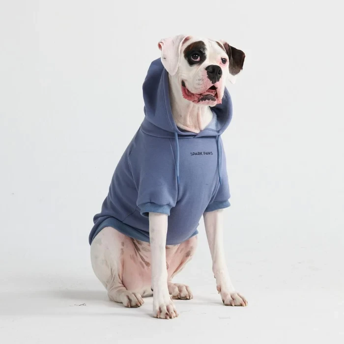 Essential Dog Hoodie