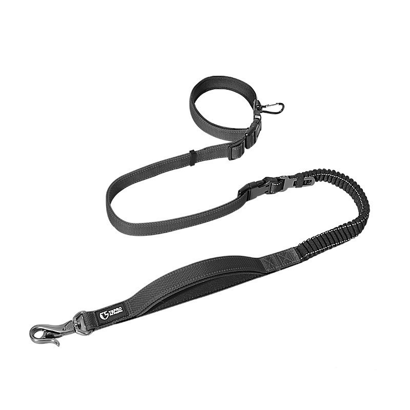 Roamer Bungee Dog Leash Stretch Webbing Hands-Free Leash