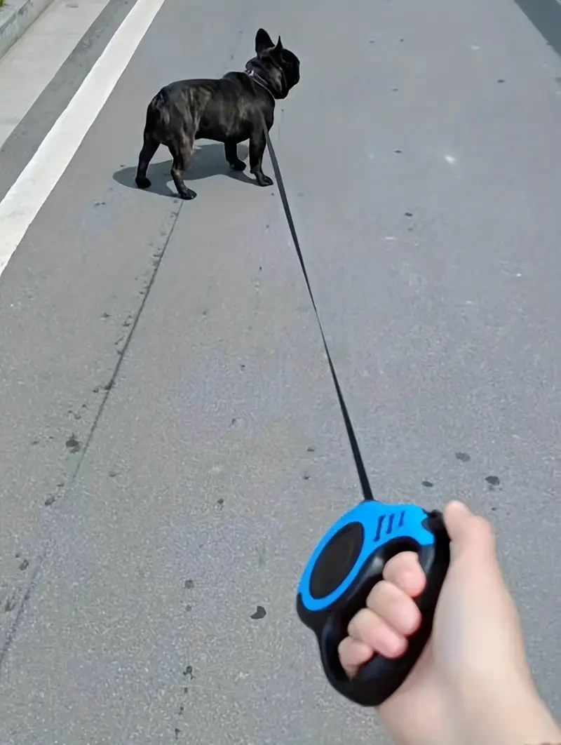 Dual-Button Retractable Dog Leash
