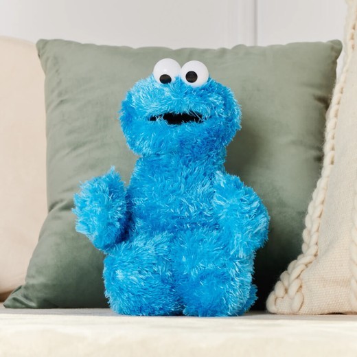 Sesame Street Cookie Monster Soft Toy