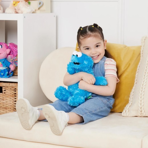 Sesame Street Cookie Monster Soft Toy