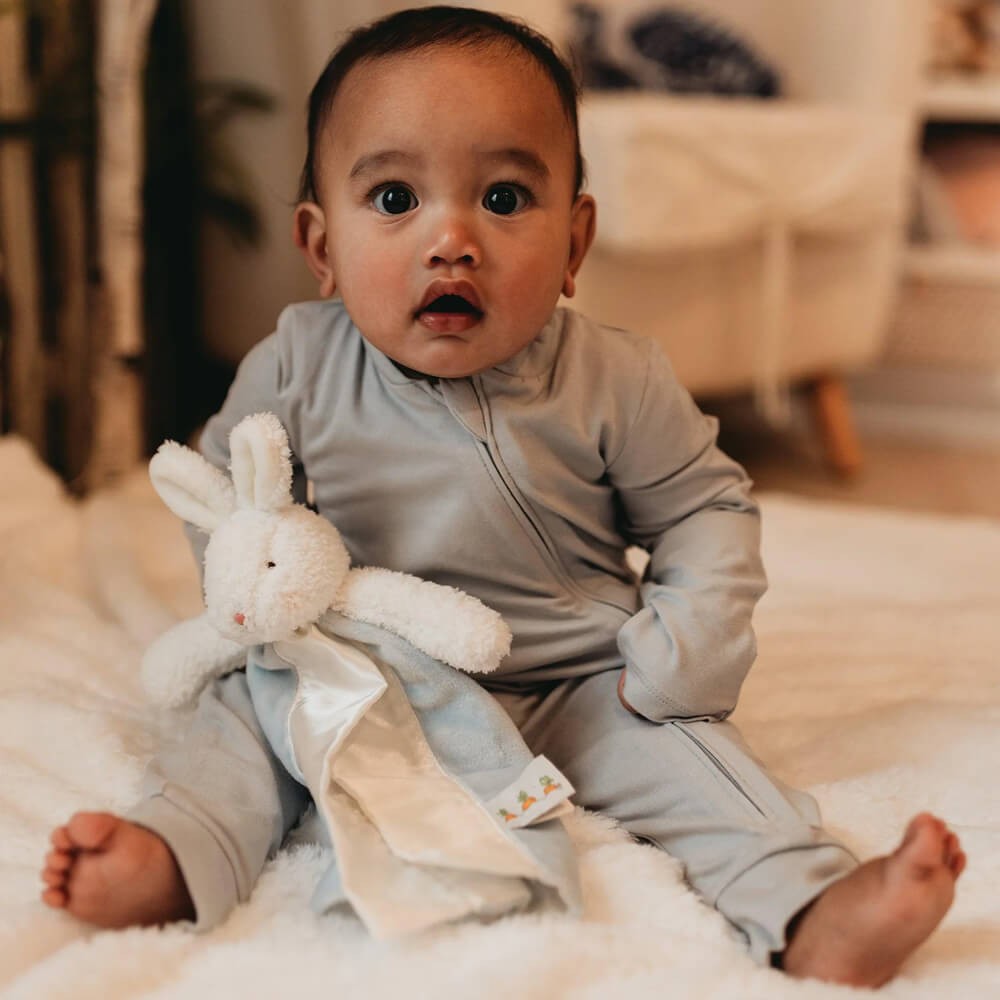 Bud Bunny Bye Bye Buddy