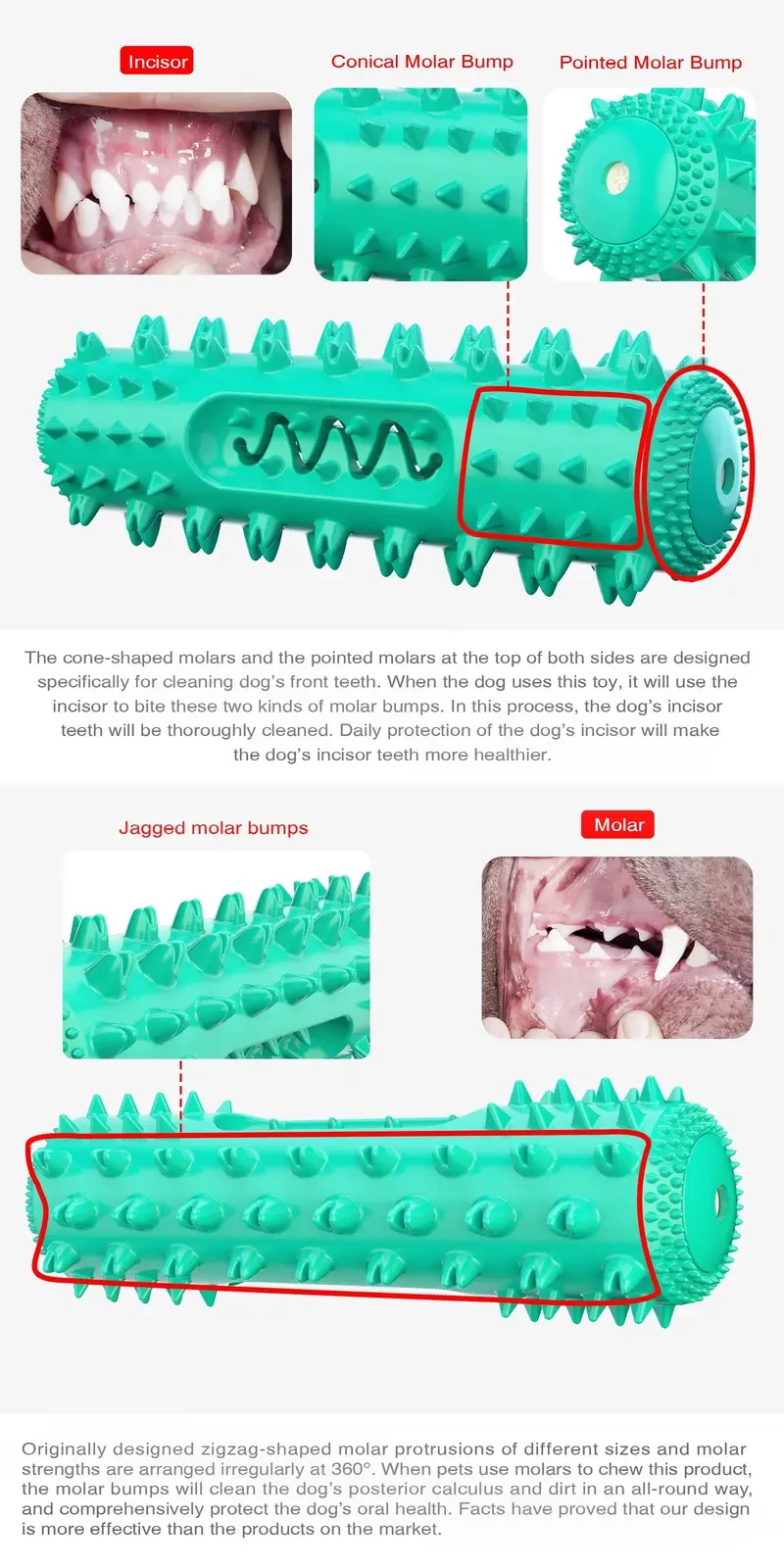 Dog Toothbrush - Gentle Molar Stick