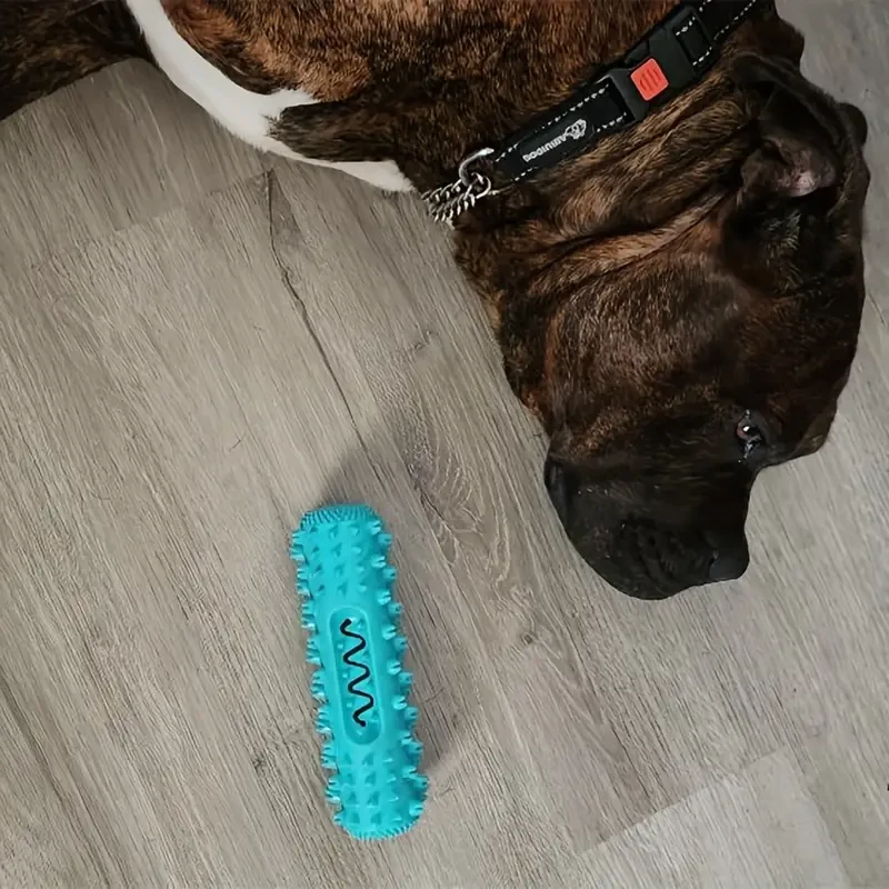 Dog Toothbrush - Gentle Molar Stick