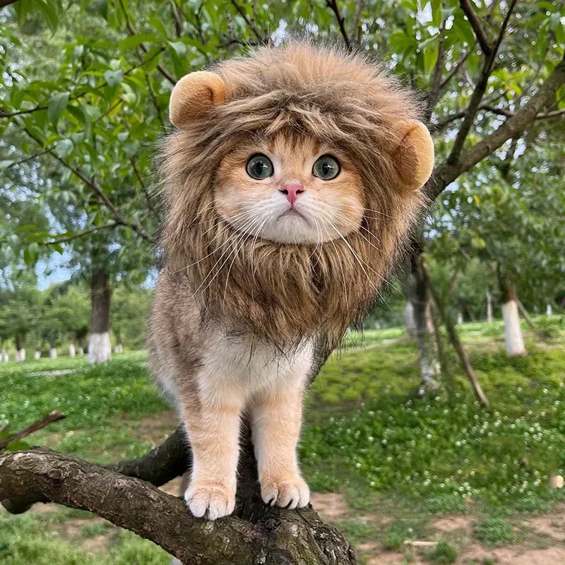 Adorable Lion Mane Costume for Cats  Durable and Comfy