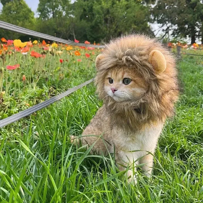 Adorable Lion Mane Costume for Cats Durable and Comfy