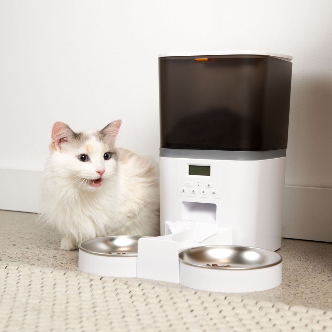 The KittyFeeder Automatic Cat Feeder