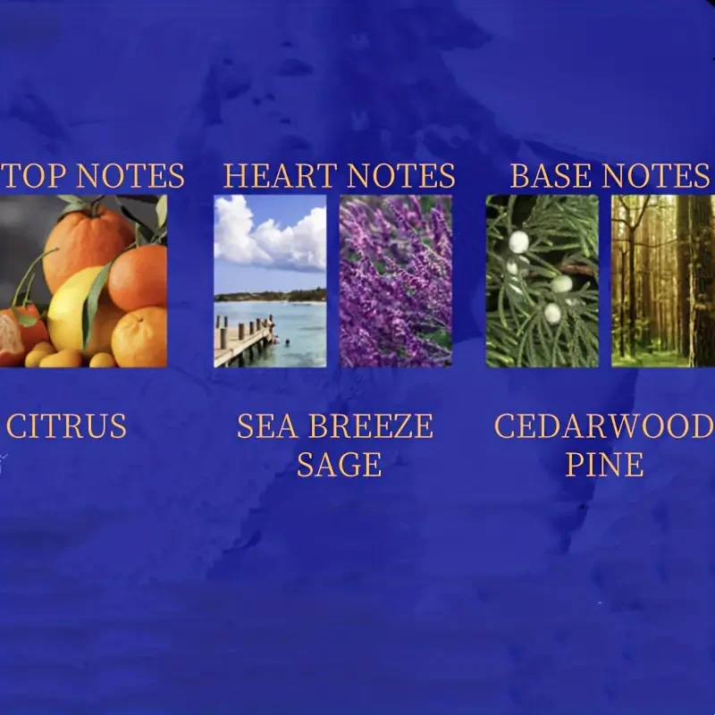 Attractant Cologne for Men and Women