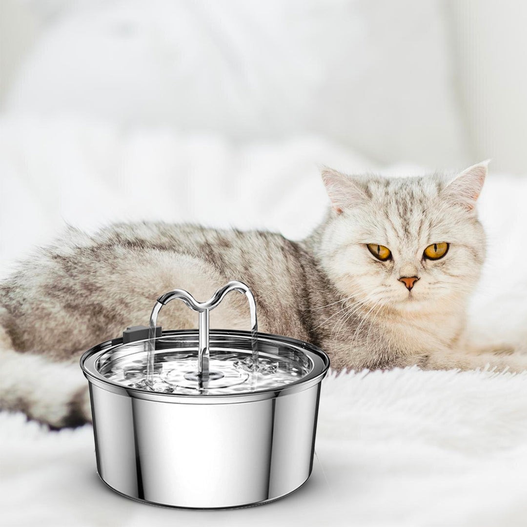 The KittySpout TwinFlow Fountain