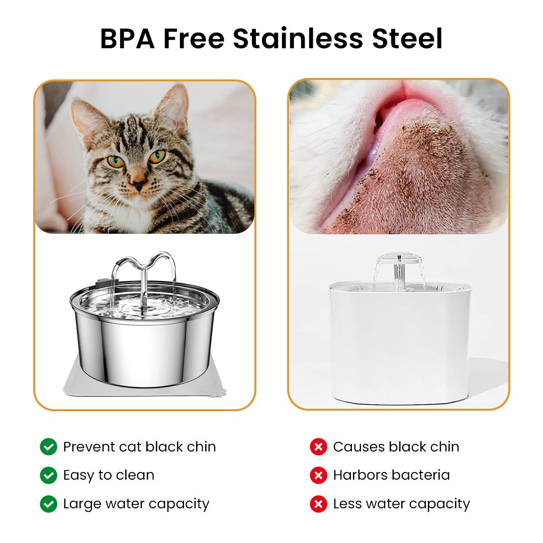 The KittySpout TwinFlow Fountain