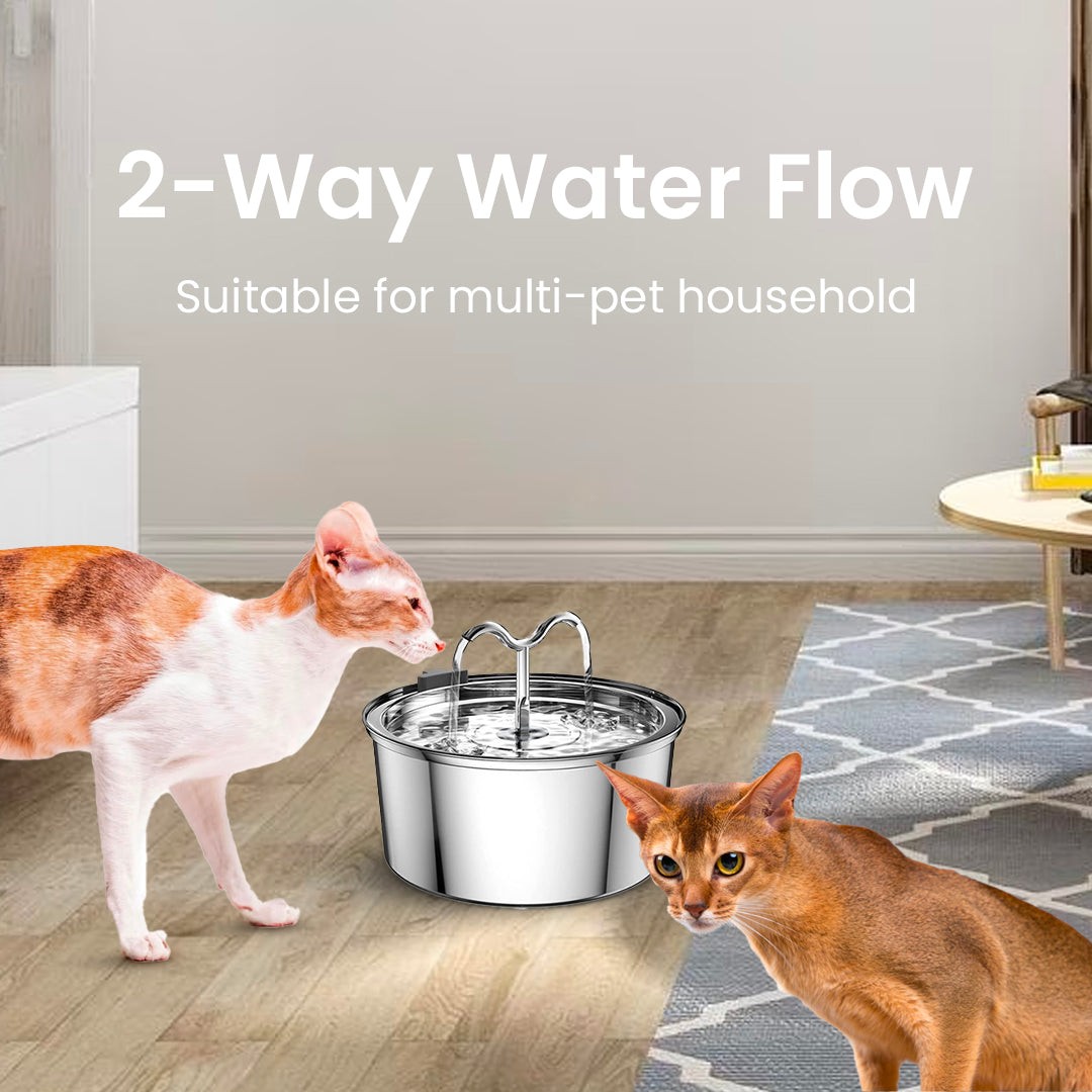 The KittySpout TwinFlow Fountain
