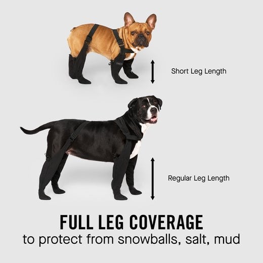 Adjustable and Connected Dog Boots - Ultimate Paw Protection