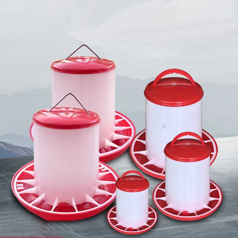 Kettle, Automatic Drinking Fountain, Chicken Food