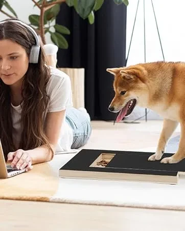 Dog Nail Scratch Board, Dog File Board Dog Nail Grinder Board Scratch Pad For Nails With Treat Box Pets Nails Trimming For All Dog Sizes