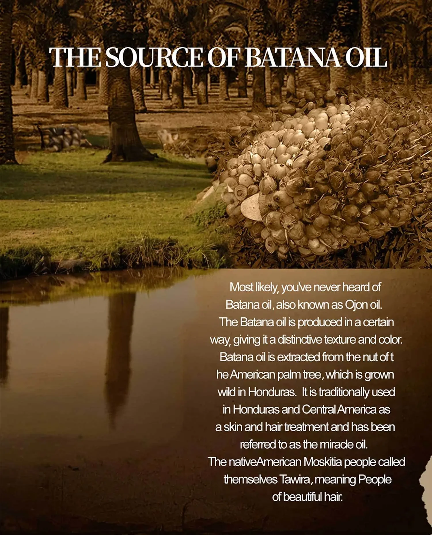 Shuo Woxin Batana Hair Care Essential Oil 30ml